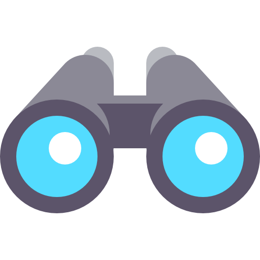 vision